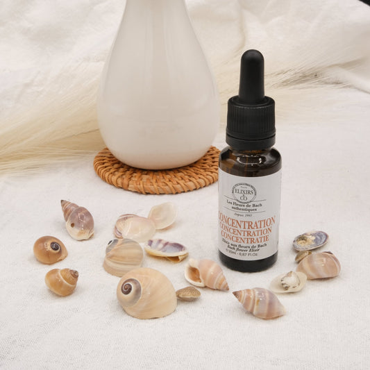 Elixir composé Concentration aux fleurs de Bach - shop_name Lithothérapie