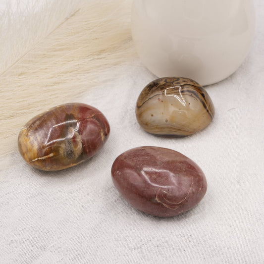 Galet Bois Fossilisé - shop_name Lithothérapie