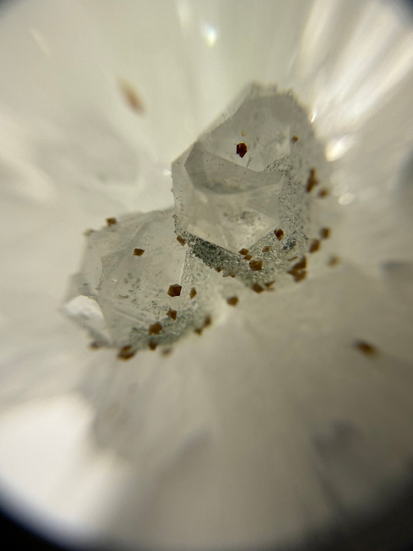 Spécimen cristal de roche - shop_name Lithothérapie