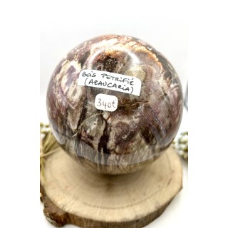 Sphère en bois pétrifié (Araucaria)