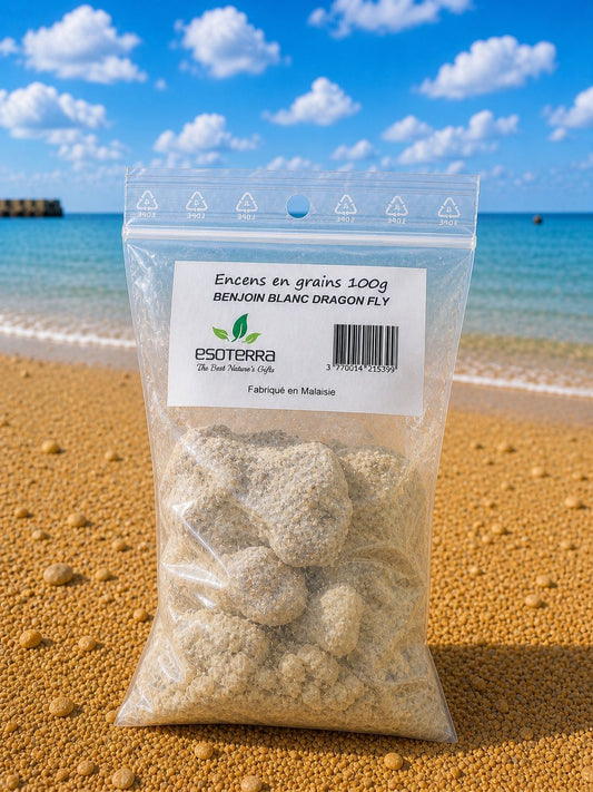 Encens en Grains Benjoin Blanc Dragon Fly 100g – Résine Naturelle | Terre de Cristal